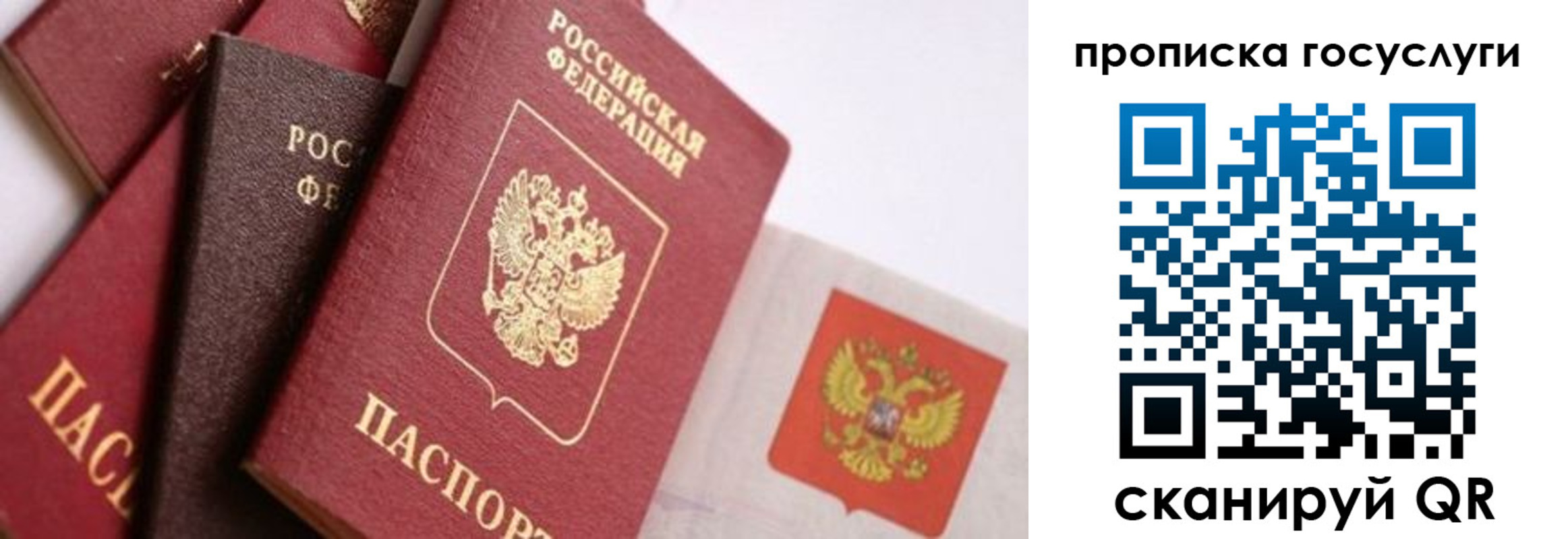 прописка законно в Приморско-Ахтарске